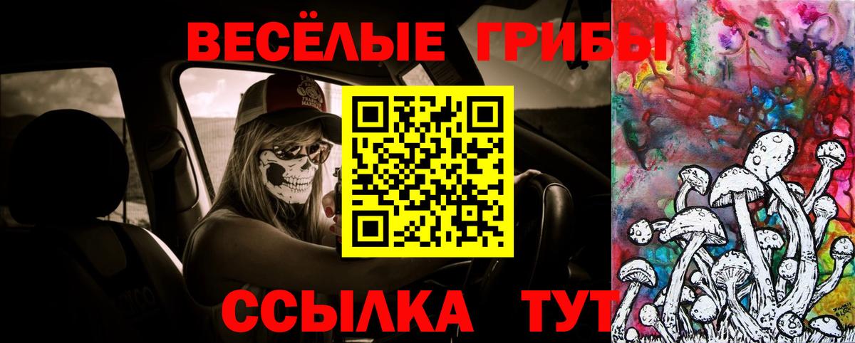 Псилоцибиновые грибы ЛСД Лесной