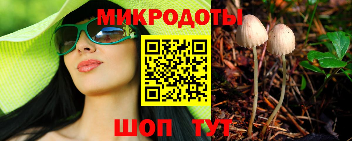 Лесной  Галлюциногенные грибы Psilocybine cubensis  Вход с VPN 